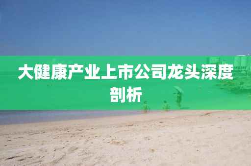 大健康產業(yè)上市公司龍頭深度剖析
